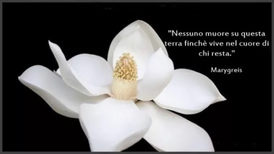 Un'immagine generica segnaposto con angoli arrotondati in una figura.